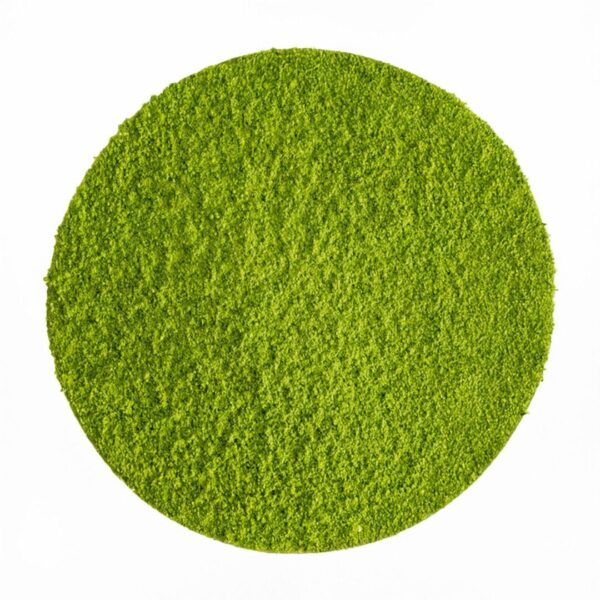 Japan Ceremonial Matcha "Hisui" Bio 50g